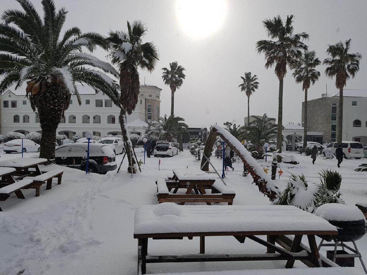 Lasania Resort Seogwipo Dış mekan fotoğraf