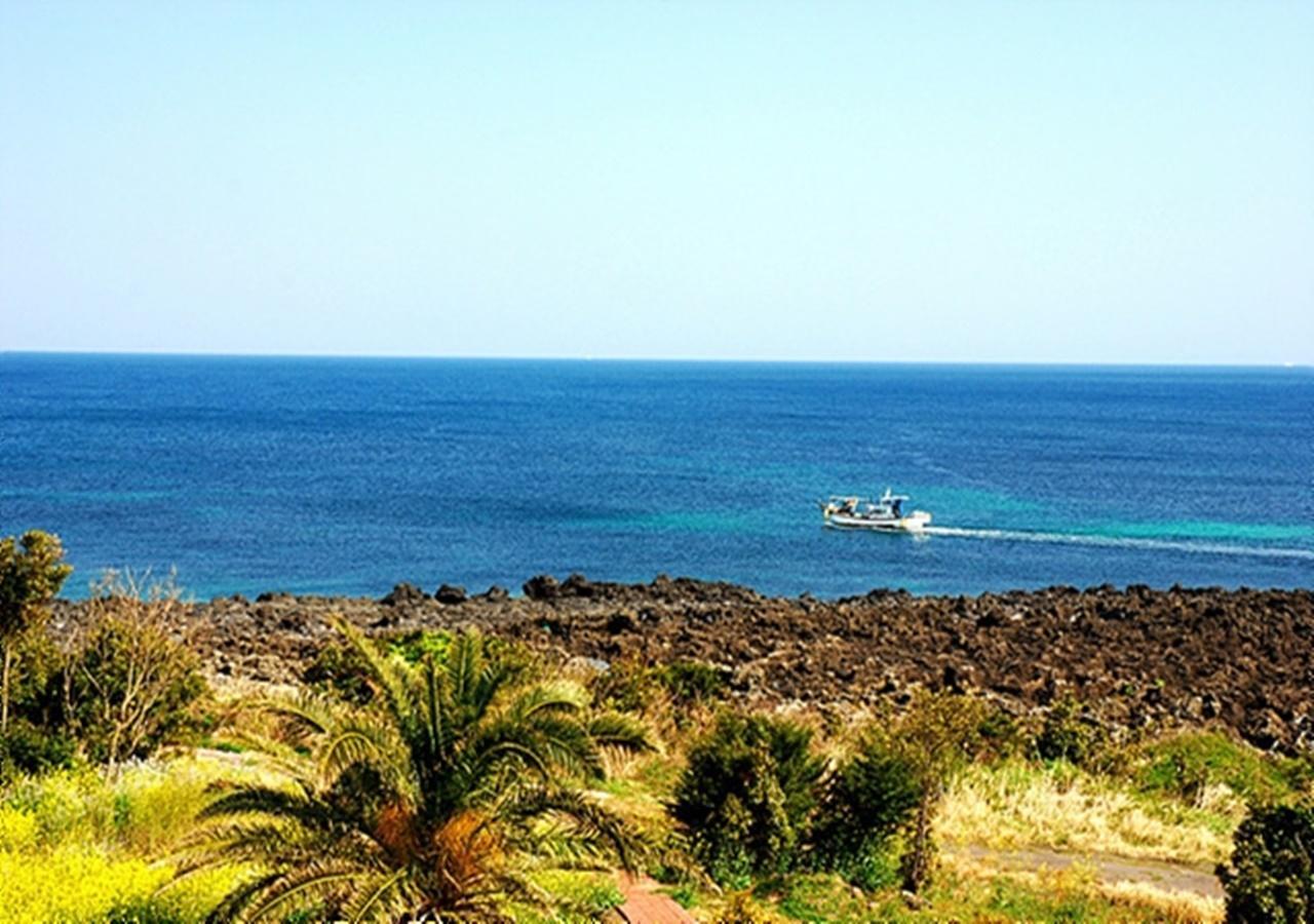 Lasania Resort Seogwipo Dış mekan fotoğraf